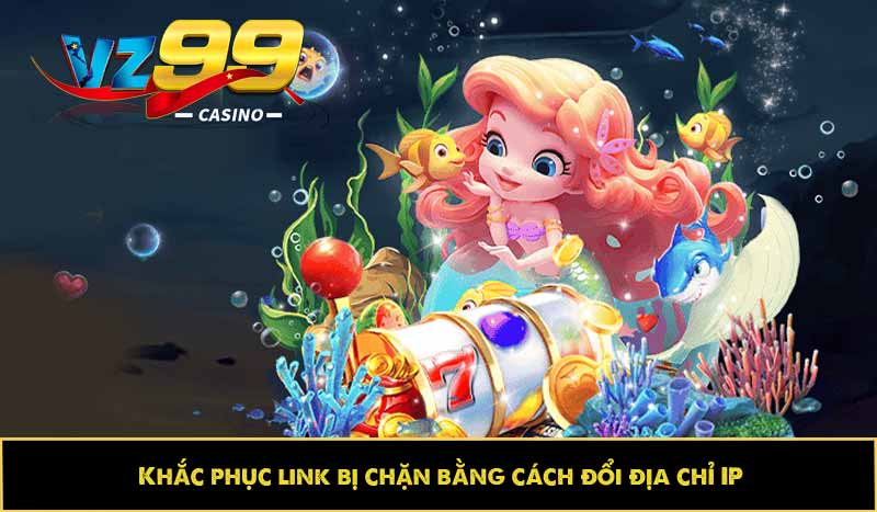 Link VZ99 bị chặn do đâu? Cách khắc phục nhanh như nào? 4 Khắc phục link bị chặn bằng cách đổi địa chỉ IP